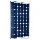 Luminous Solar Panel 100 Watt - 12 Volt